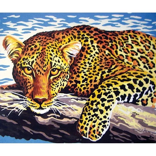 Leopard Look
