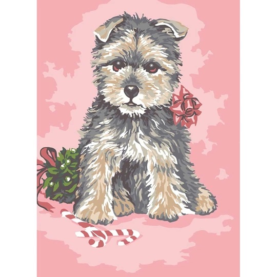Dressed up Pup