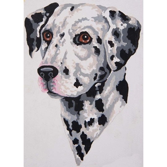 Dalmatian