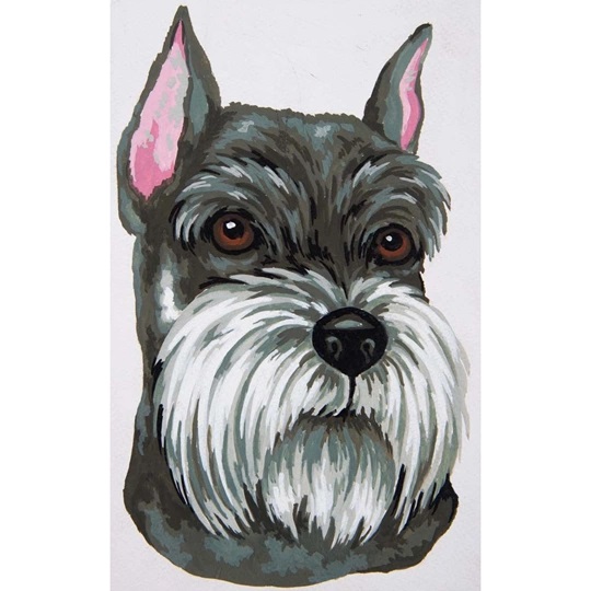 Schnauzer