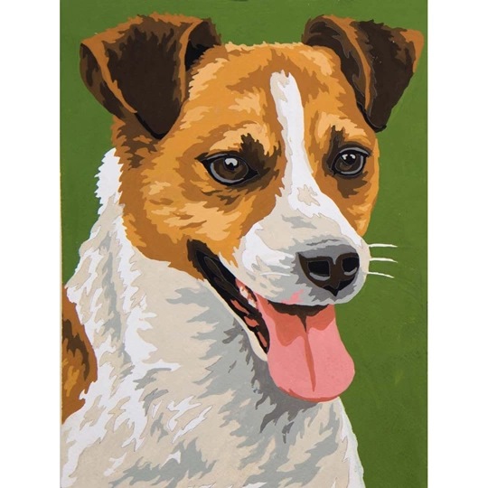 Terrier