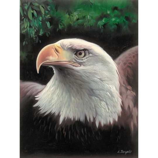 Majestic Eagle