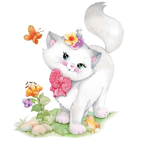 Pretty Kitty