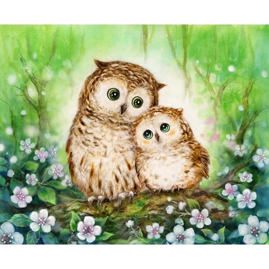 Mother and Baby Owl
