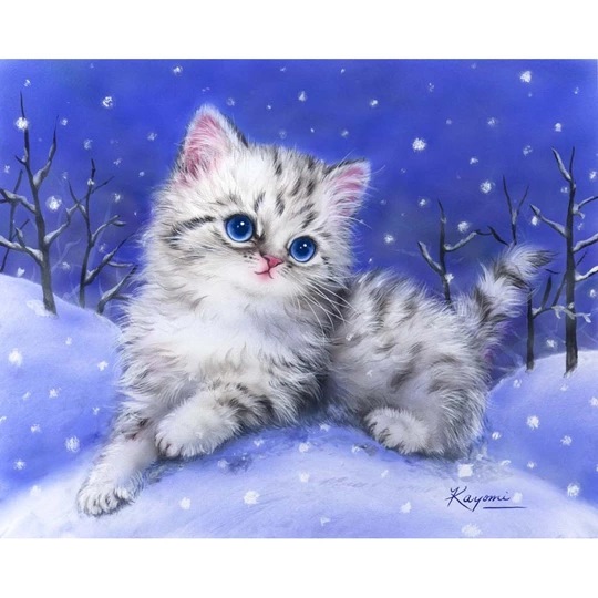 Kitten in the Snow