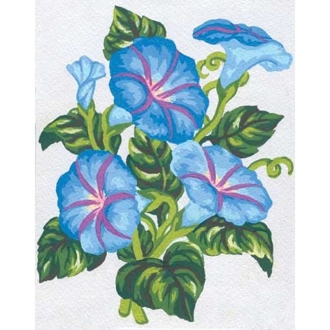 Periwinkles