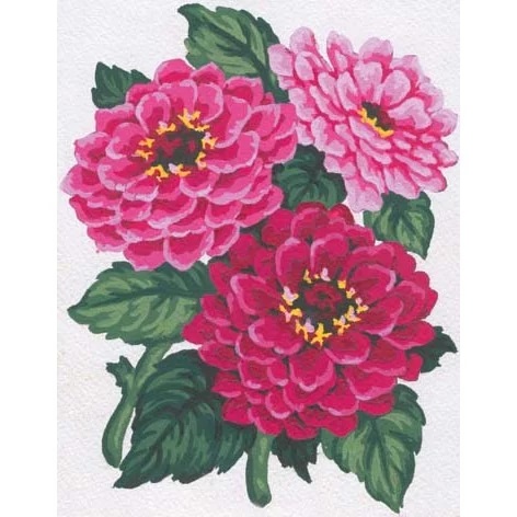 Pink Chrysanthemums