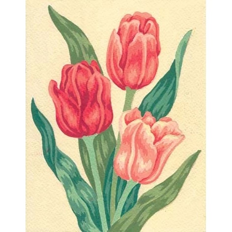Tulips