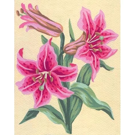 Tigerlily