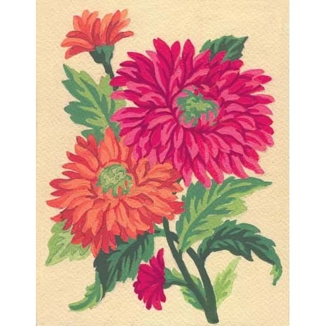 Chrysanthemums