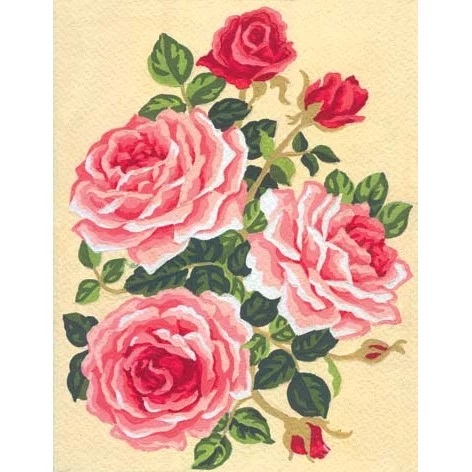 Pink Roses