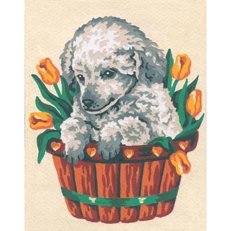 Puppy and Tulips
