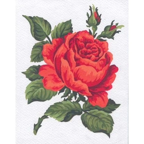 Red Rose