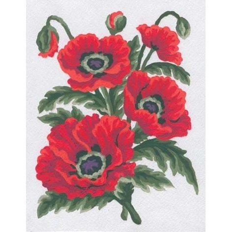 Poppies