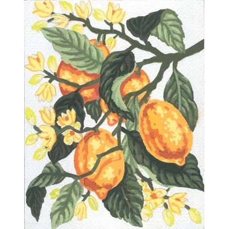 Lemons