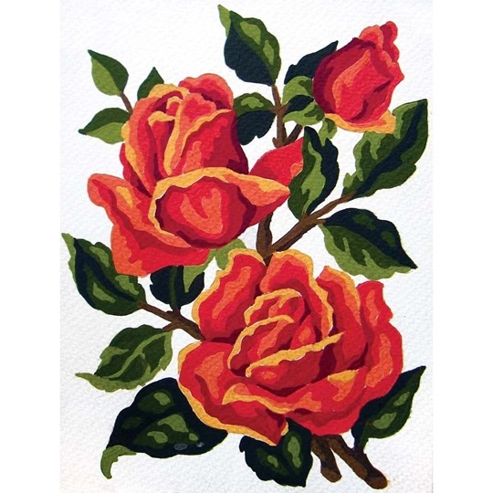 Red Roses