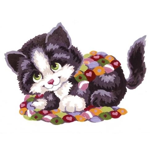 Kitten and Quilt