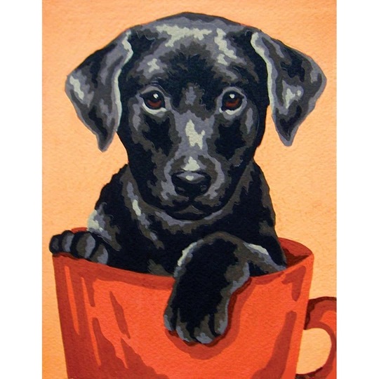 Puppy in a Cup
