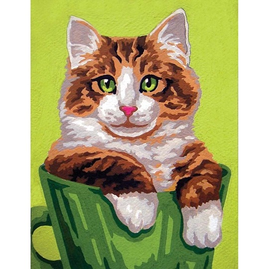 Kitten in a Cup