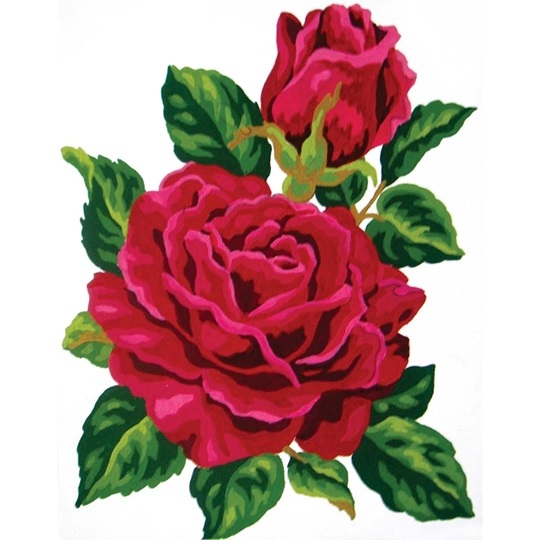 Scarlet Rose
