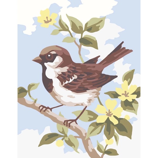 Sparrow