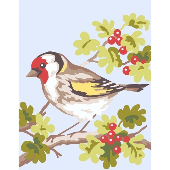 Finch