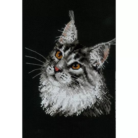 Maine Coon