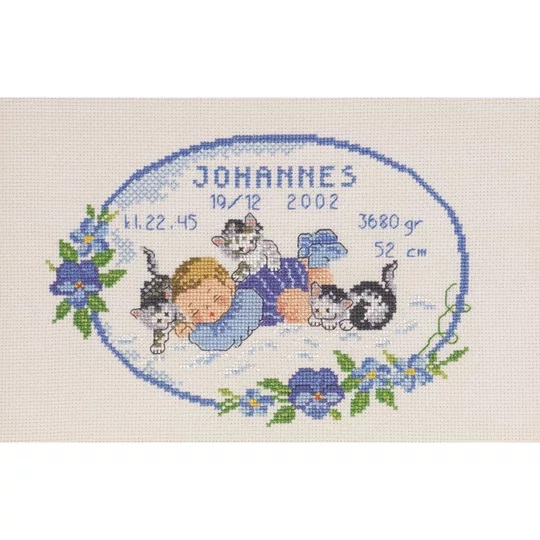 Kittens Birth Sampler Boy