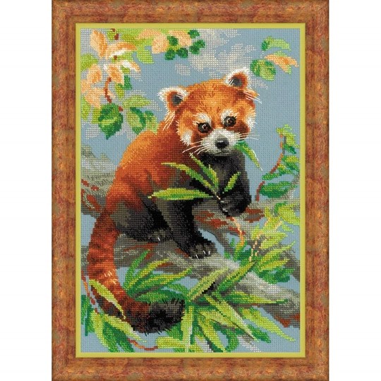 Red Panda