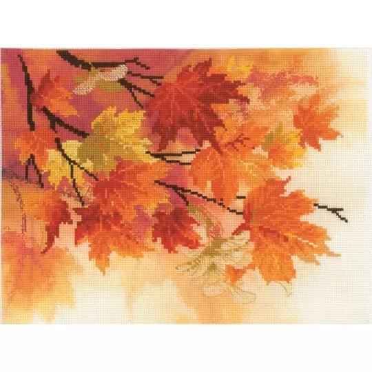 Autumn Colours