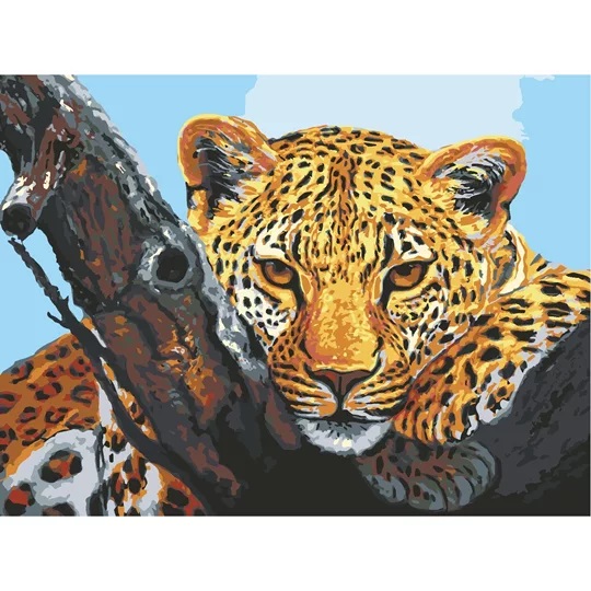 Leopard Look