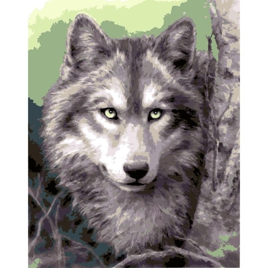 Grey Wolf