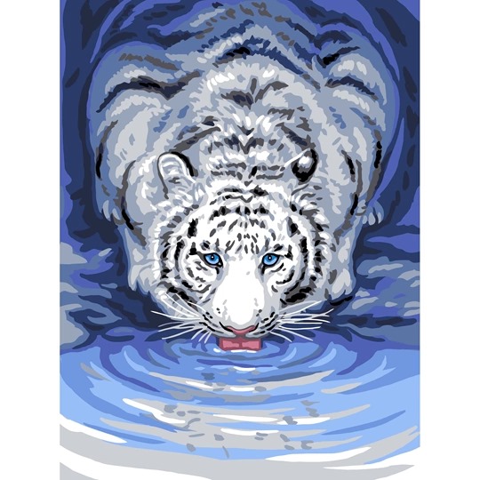 White Tiger Drinking