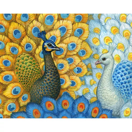 Exotic Peacocks
