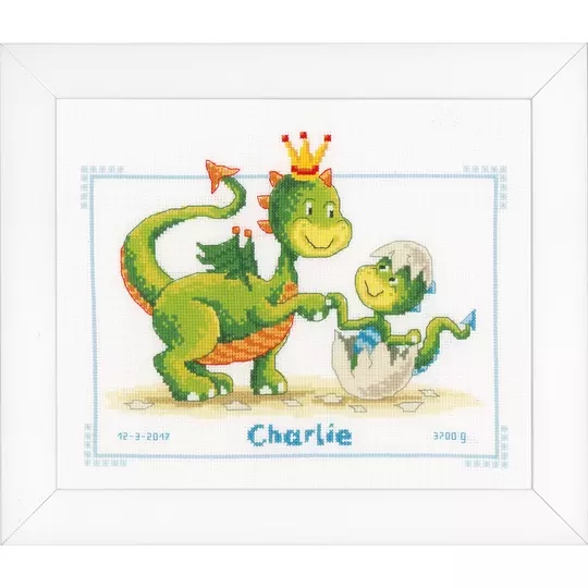Little Dragon Birth Record 
