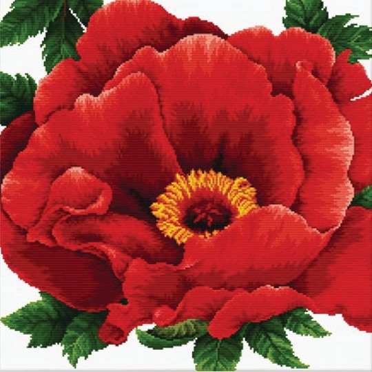 Peony