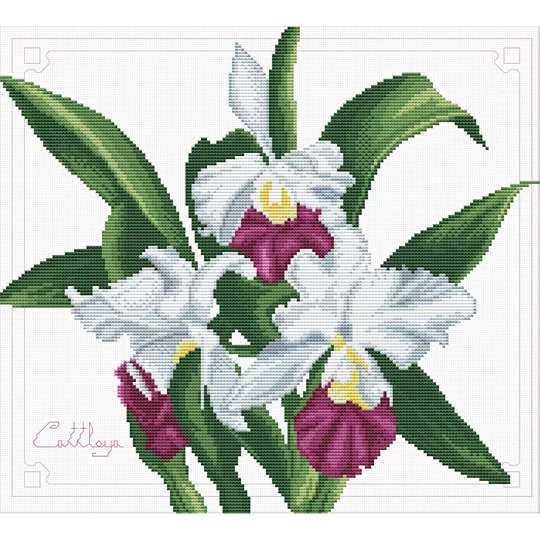 Bouquet of Orchids