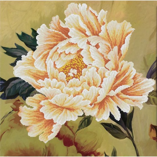 Blooming Peony II