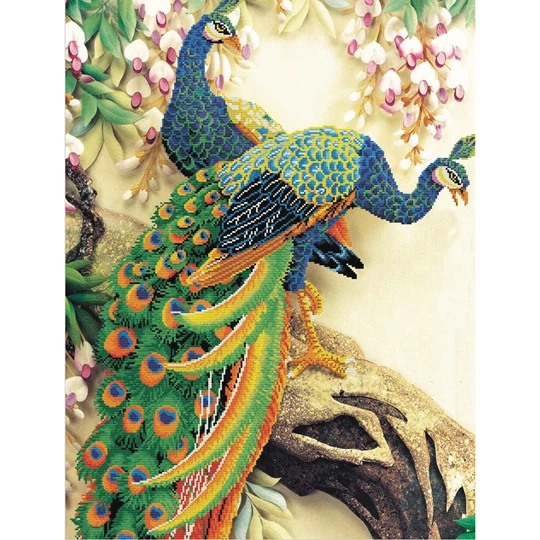 Peacock Majesty