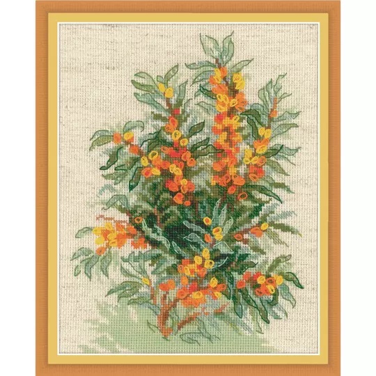 Sea Buckthorn