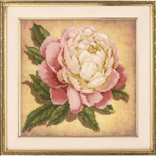 Peony