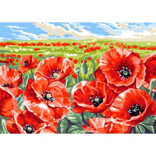 Red Poppy Field