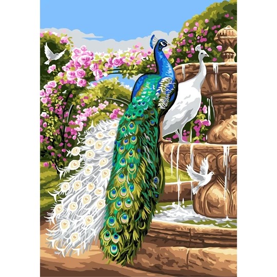 Peacock Paradise