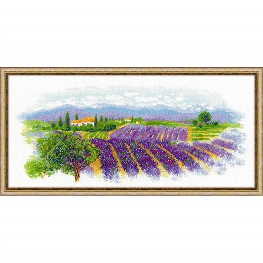 Blooming Provence