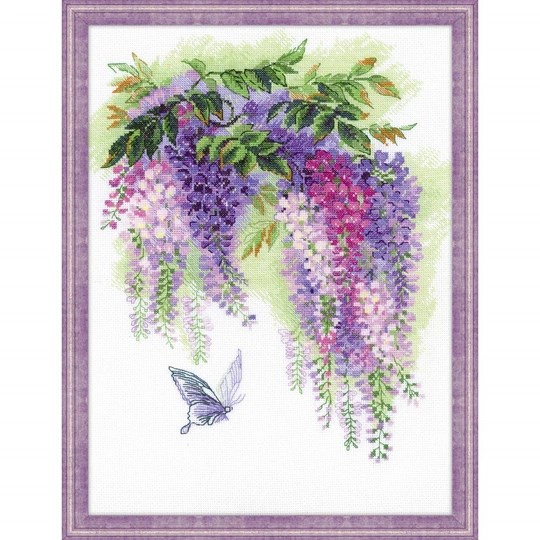 Wisteria