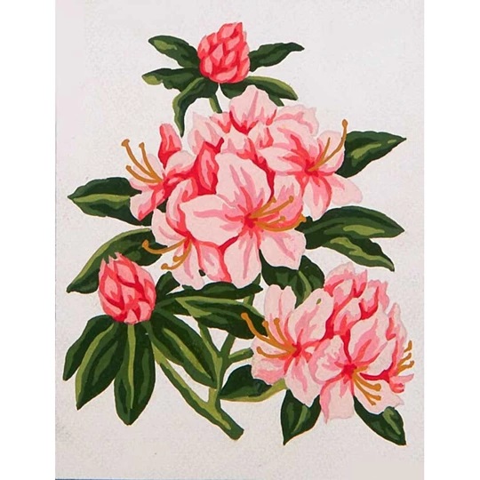 Pretty Pinks