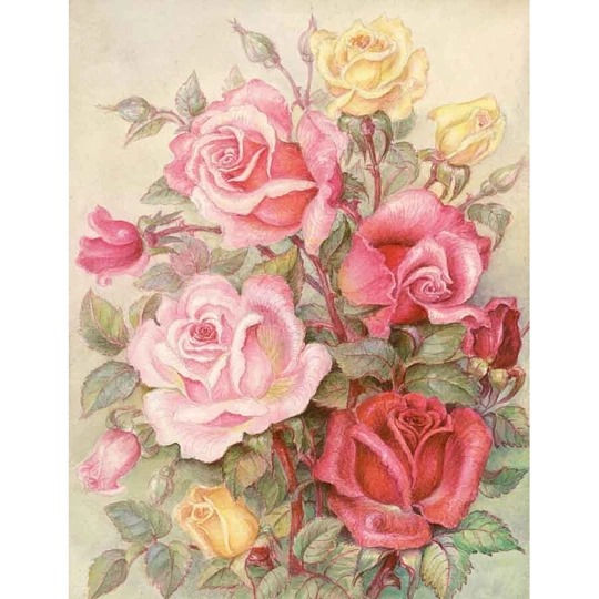 Romantic Roses