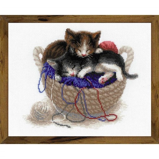 Kittens in a Basket