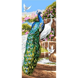 Peacock Garden