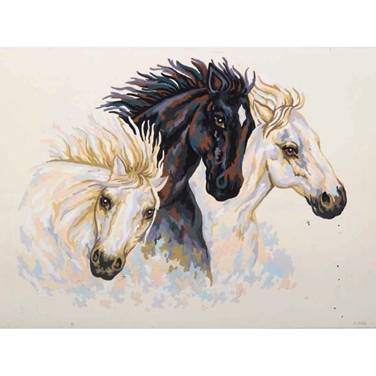 Wild Stallions